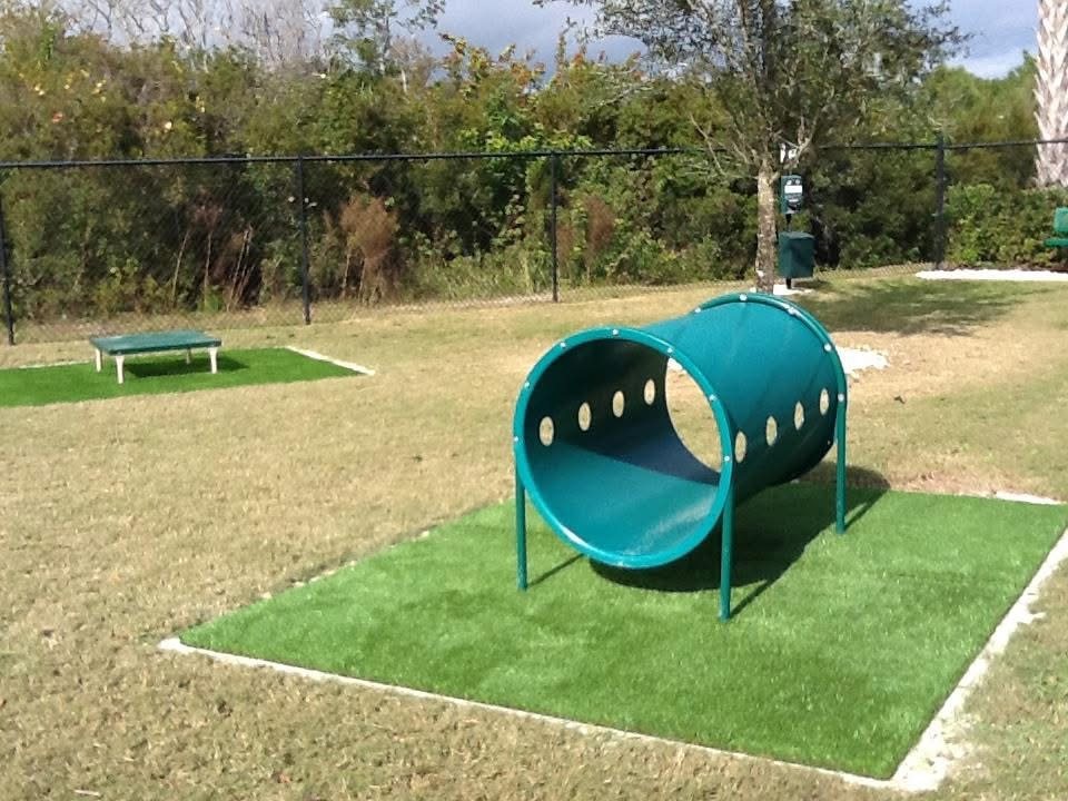 Agility tunnel on a turf pad in a dog park