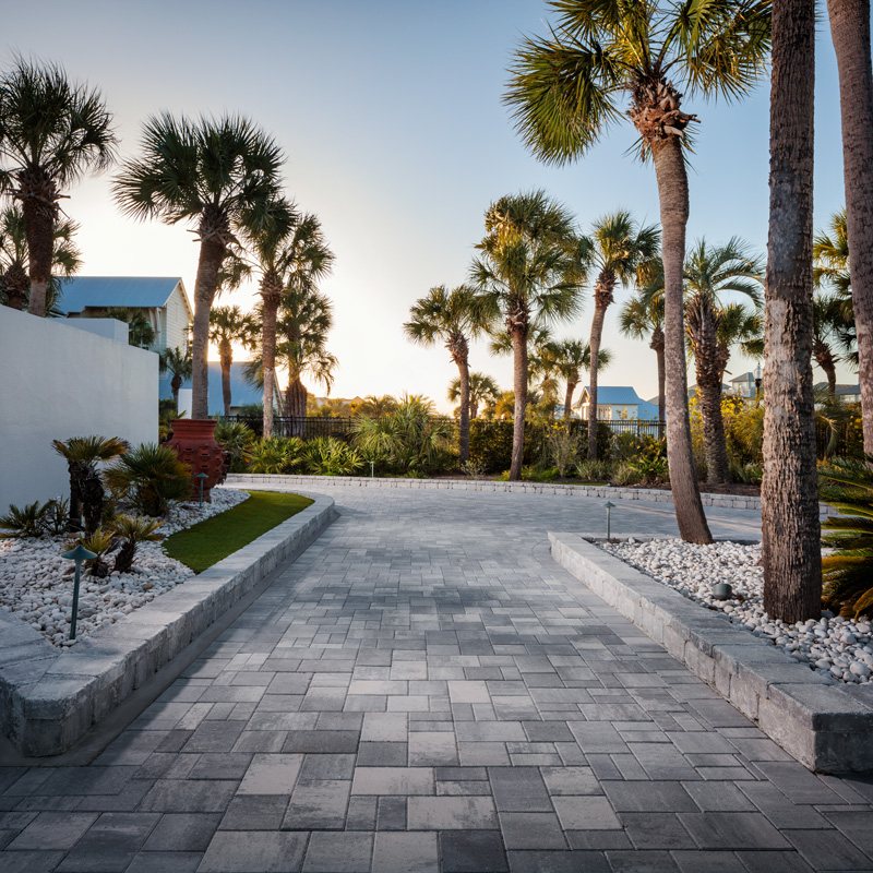 Gray paver driveway lined with palms at sunset