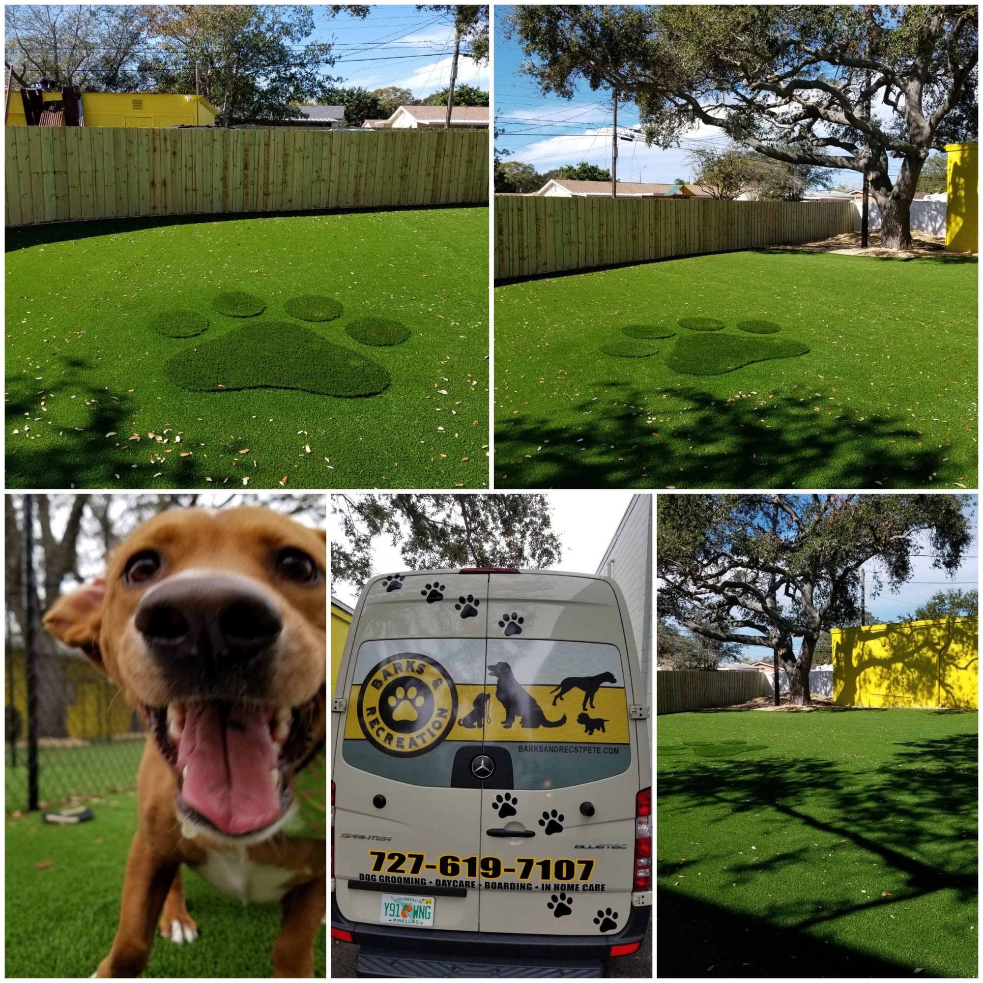 Dog daycare turf yards with paw-print inlays and a company van