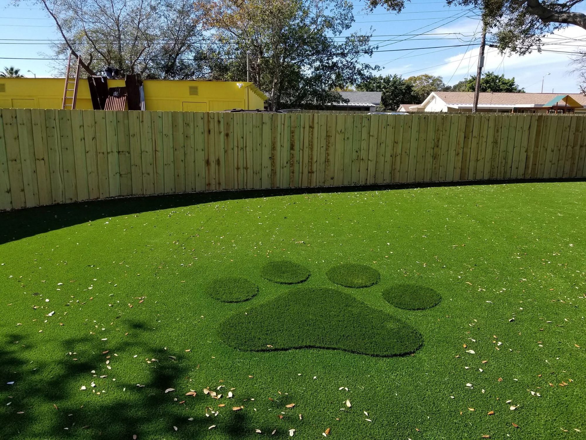 Fenced backyard turf with a paw print inlaid in contrasting turf