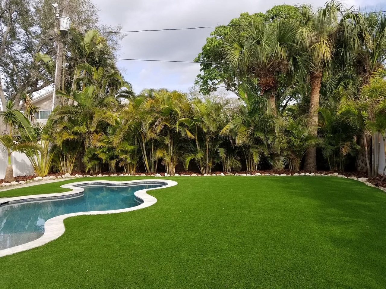 Freeform pool surrounded by synthetic turf and palms